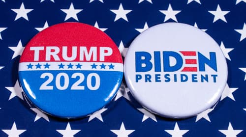 Trump & Biden pins